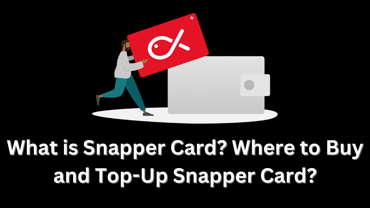 Buy Snapper Card